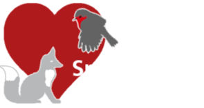 SpiritAngel